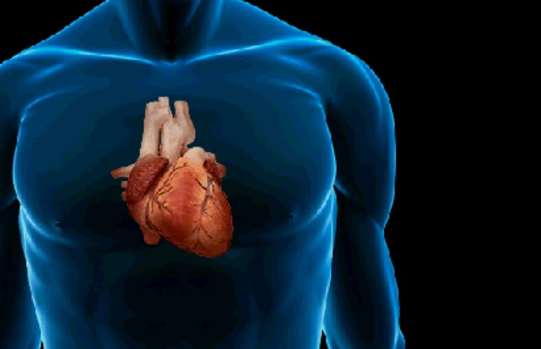 első és cél a szív egészsége magas vérnyomás a yarinából