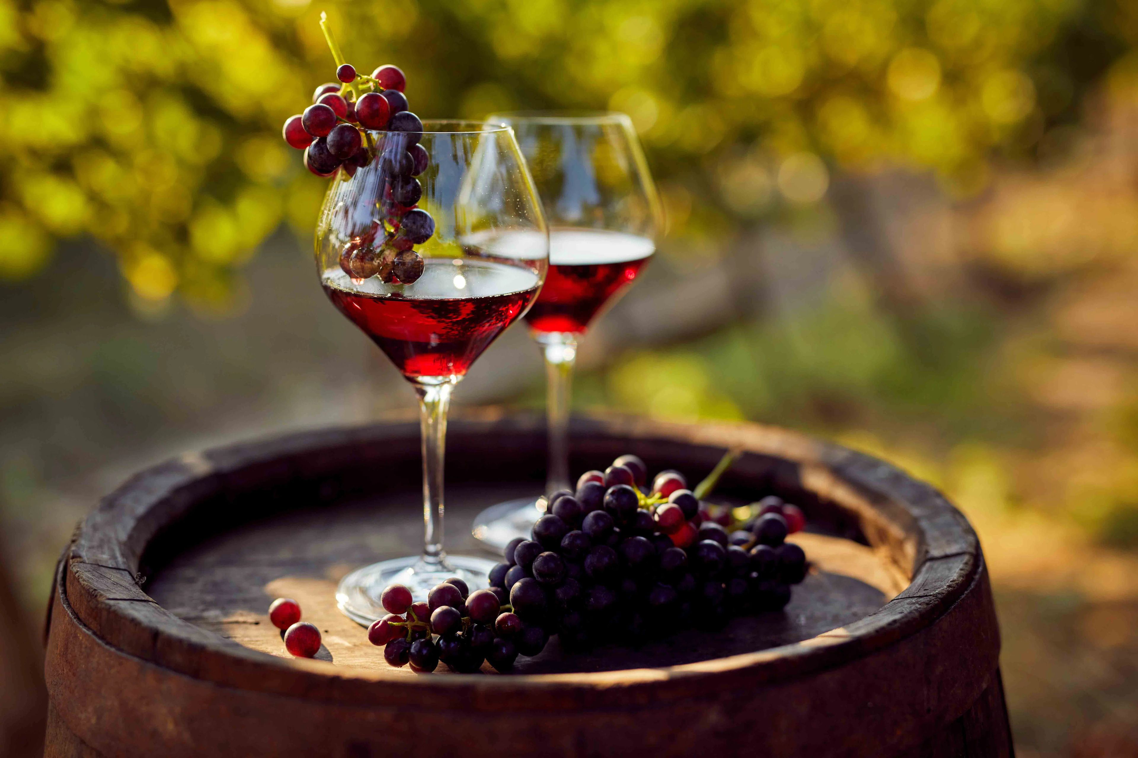A vörösbor jót tesz a szív egészségének)