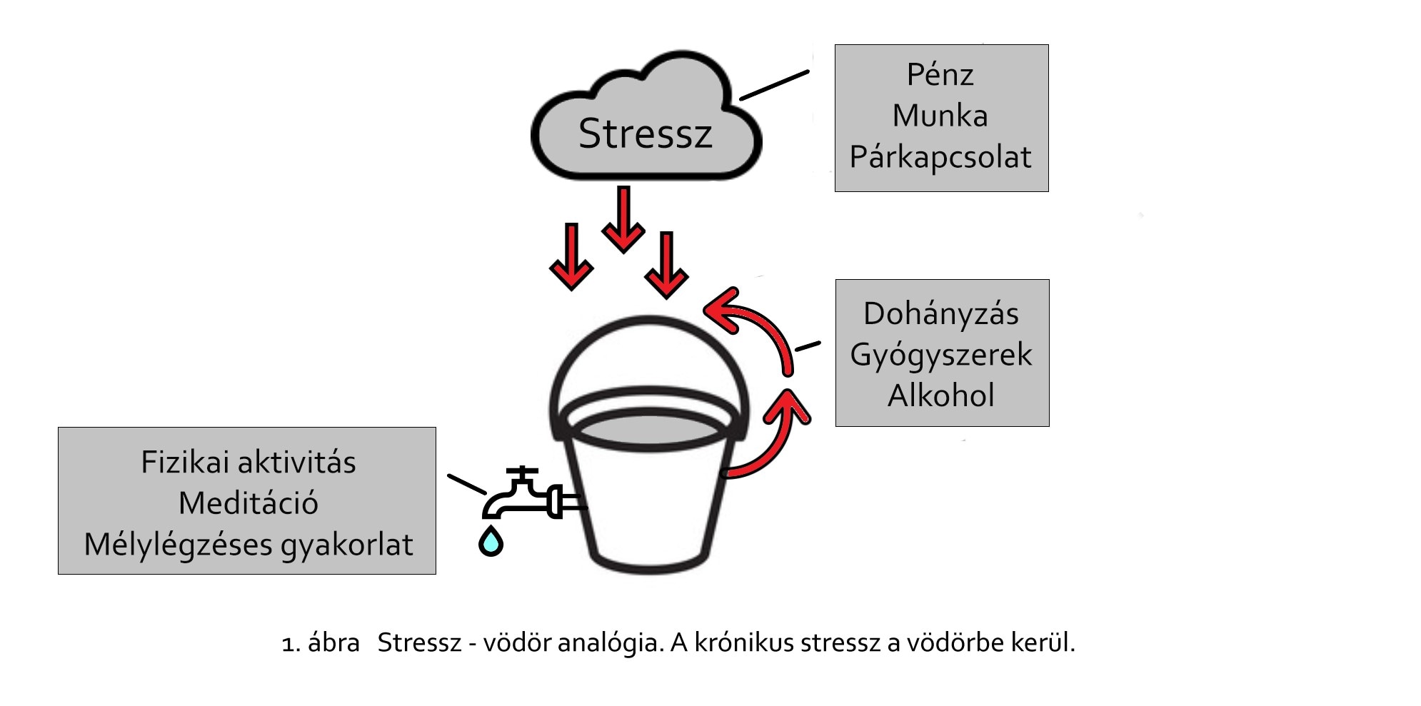 Stressz–vödör analógia - ábra