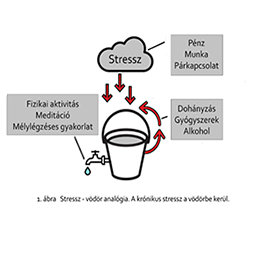 A stressz hatása a szív- és érrendszerre. Mi váltja ki a stresszt, és hogyan kezelhető?