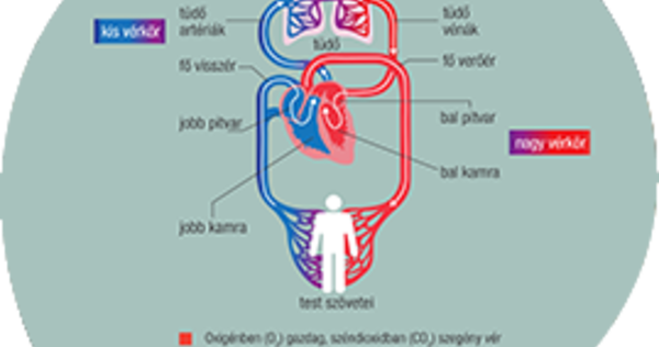 fokozatú magas vérnyomás amikor elhelyezik hogy neurózisom vagy magas vérnyomásom van